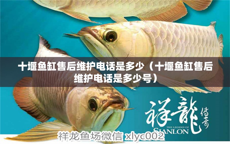 十堰魚缸售后維護(hù)電話是多少（十堰魚缸售后維護(hù)電話是多少號(hào)）