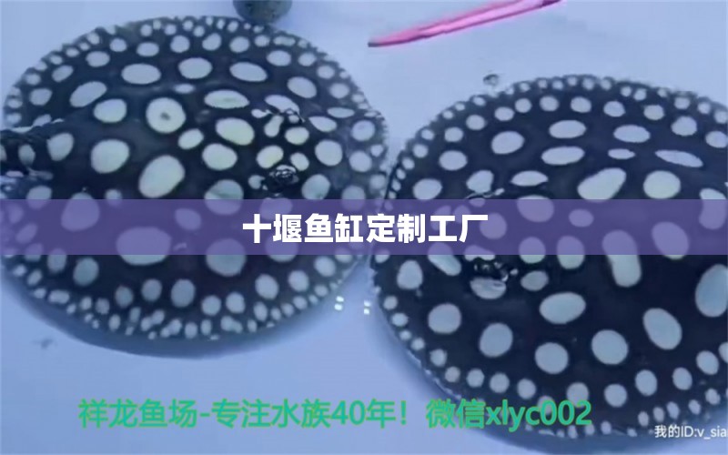 十堰魚(yú)缸定制工廠