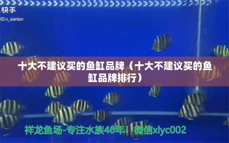 十大不建議買的魚缸品牌（十大不建議買的魚缸品牌排行）