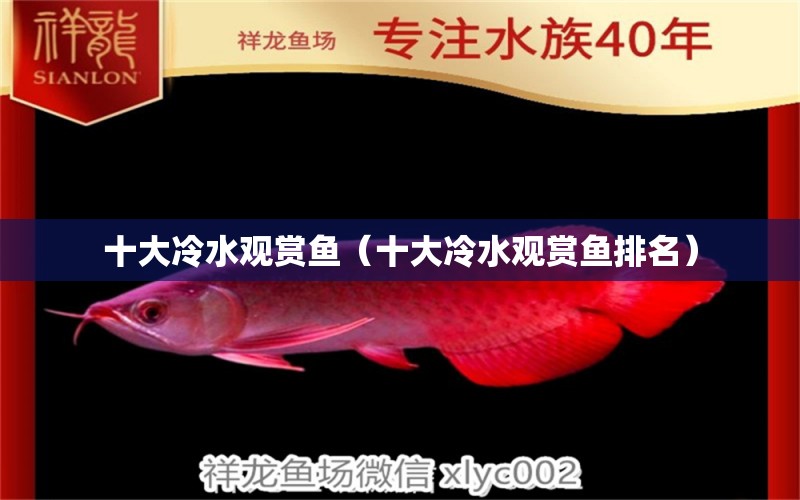 十大冷水觀賞魚（十大冷水觀賞魚排名） 黃金河虎魚