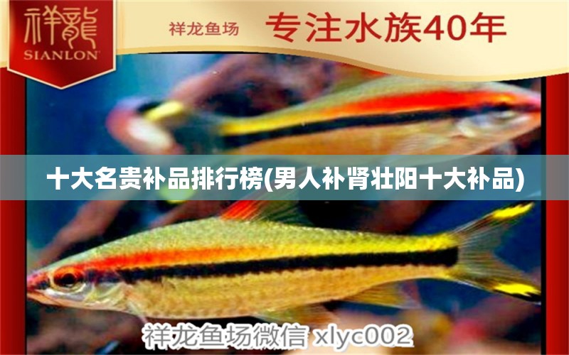 十大名貴補品排行榜(男人補腎壯陽十大補品) 黃金斑馬魚 第1張