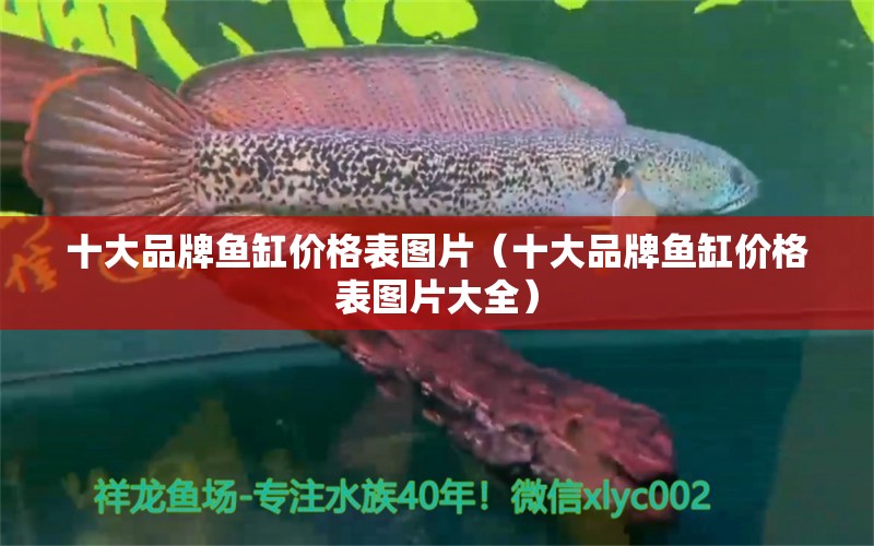 十大品牌魚缸價格表圖片（十大品牌魚缸價格表圖片大全） 其他品牌魚缸