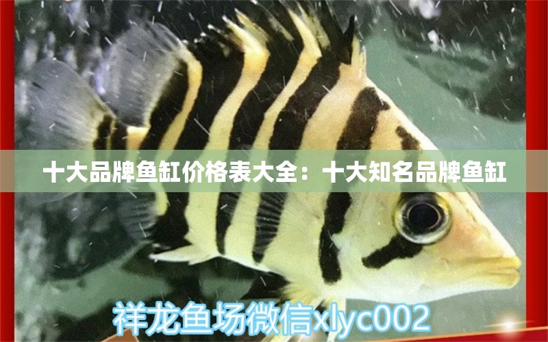 十大品牌魚缸價格表大全：十大知名品牌魚缸 廣州龍魚批發(fā)市場