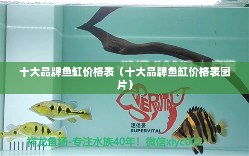 十大品牌魚缸價格表（十大品牌魚缸價格表圖片）