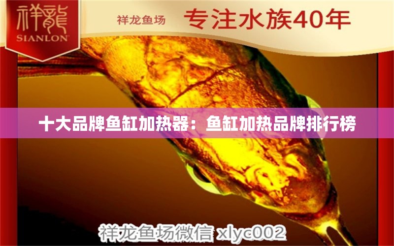 十大品牌魚缸加熱器：魚缸加熱品牌排行榜