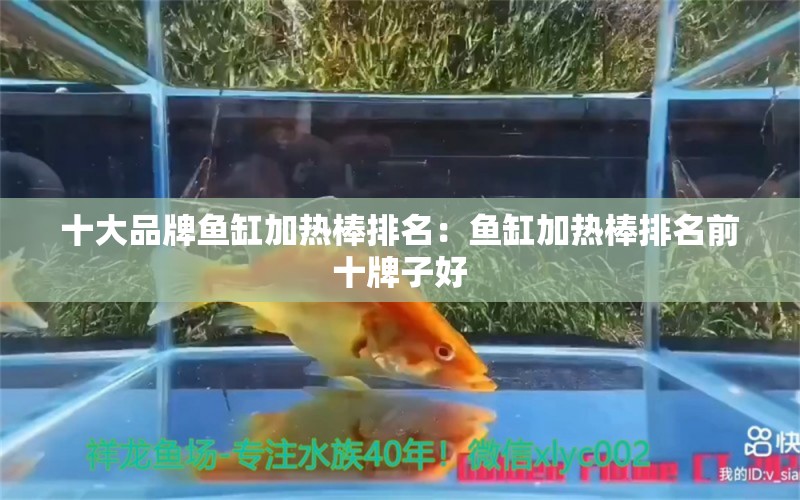 十大品牌魚缸加熱棒排名：魚缸加熱棒排名前十牌子好