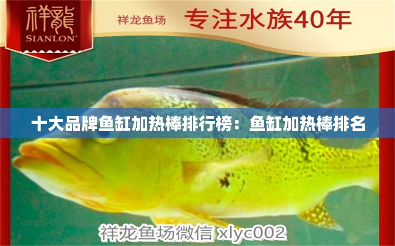 十大品牌魚缸加熱棒排行榜：魚缸加熱棒排名