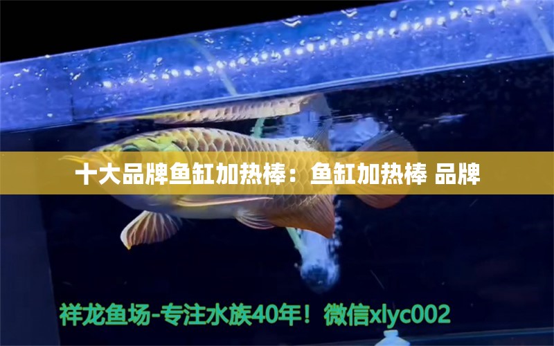 十大品牌魚缸加熱棒：魚缸加熱棒 品牌