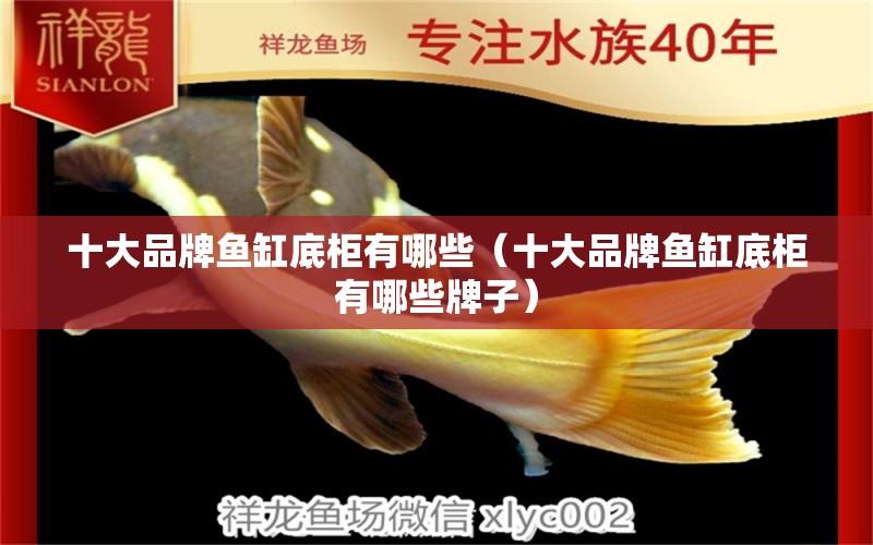 十大品牌魚缸底柜有哪些（十大品牌魚缸底柜有哪些牌子） 其他品牌魚缸