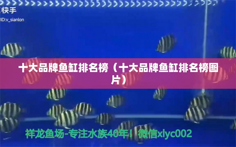 十大品牌魚缸排名榜（十大品牌魚缸排名榜圖片）