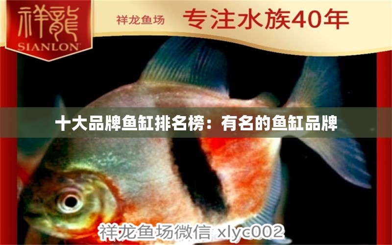 十大品牌魚缸排名榜：有名的魚缸品牌 廣州龍魚批發(fā)市場(chǎng)