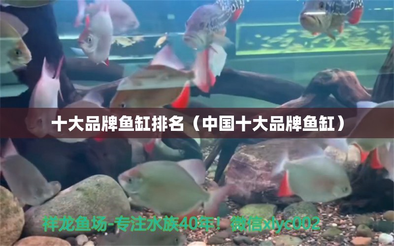 十大品牌魚缸排名（中國十大品牌魚缸） iwish愛唯希品牌魚缸