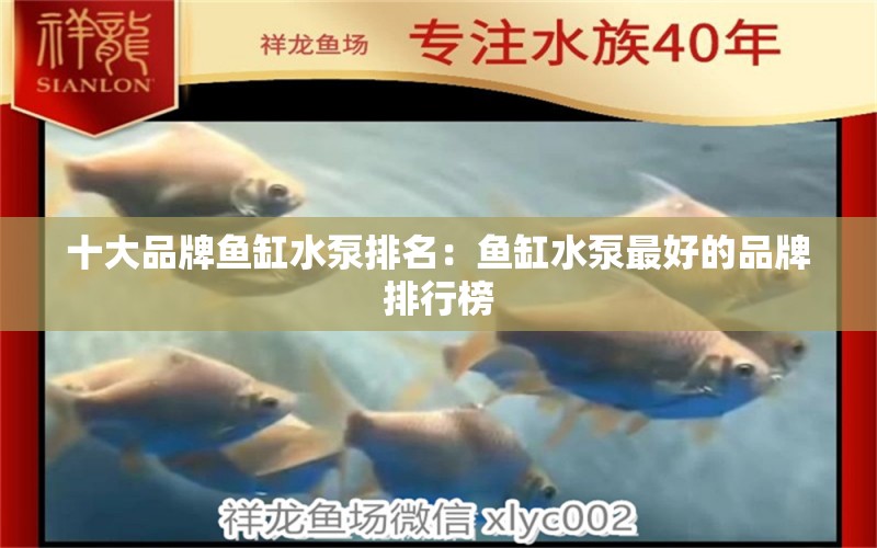 十大品牌魚缸水泵排名：魚缸水泵最好的品牌排行榜