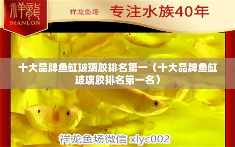 十大品牌魚缸玻璃膠排名第一（十大品牌魚缸玻璃膠排名第一名）