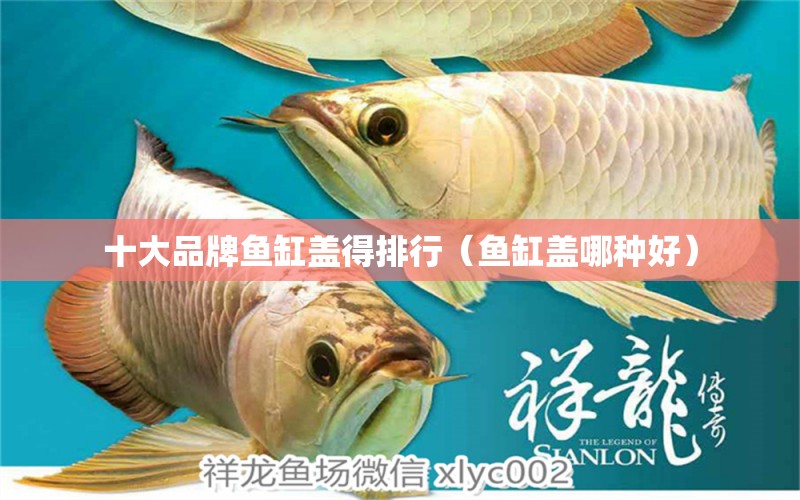 十大品牌魚(yú)缸蓋得排行（魚(yú)缸蓋哪種好） 其他品牌魚(yú)缸 第2張