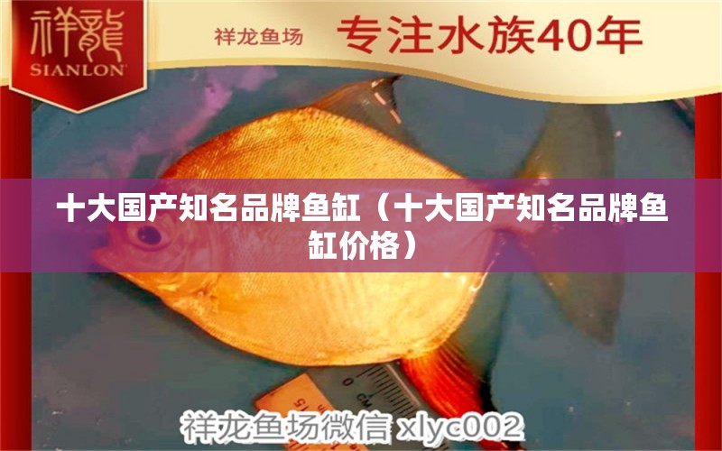 十大國產(chǎn)知名品牌魚缸（十大國產(chǎn)知名品牌魚缸價格）