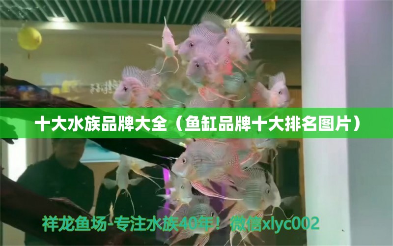 十大水族品牌大全（魚缸品牌十大排名圖片）