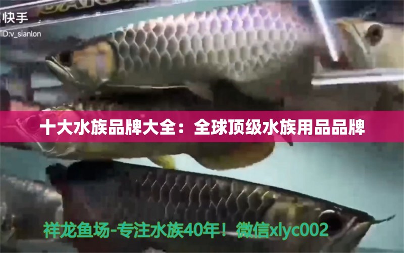 十大水族品牌大全：全球頂級水族用品品牌