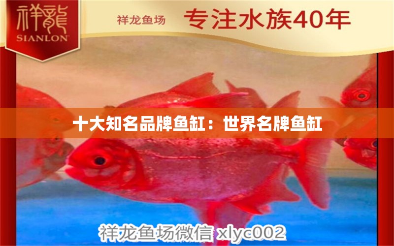 十大知名品牌魚(yú)缸：世界名牌魚(yú)缸