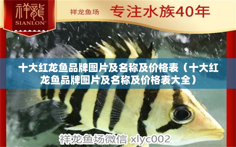 十大紅龍魚(yú)品牌圖片及名稱(chēng)及價(jià)格表（十大紅龍魚(yú)品牌圖片及名稱(chēng)及價(jià)格表大全） 廣州龍魚(yú)批發(fā)市場(chǎng)