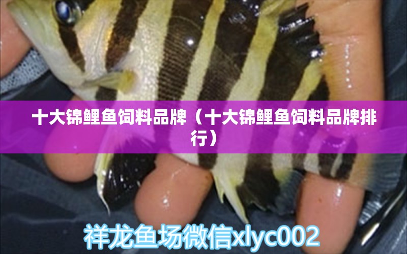 十大錦鯉魚飼料品牌（十大錦鯉魚飼料品牌排行）