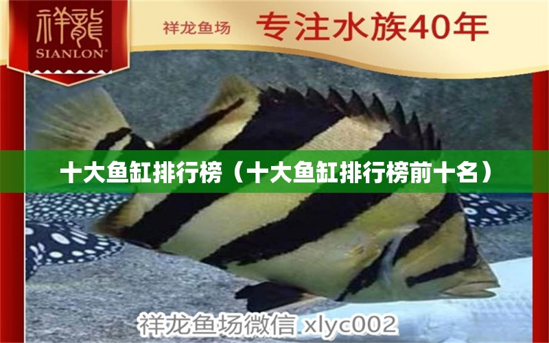 十大魚缸排行榜（十大魚缸排行榜前十名） iwish愛唯希品牌魚缸