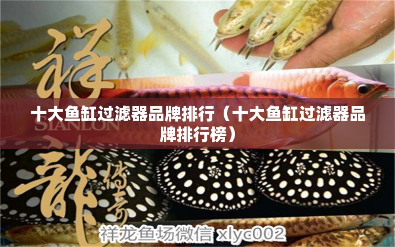 十大魚(yú)缸過(guò)濾器品牌排行（十大魚(yú)缸過(guò)濾器品牌排行榜） 紅龍福龍魚(yú)