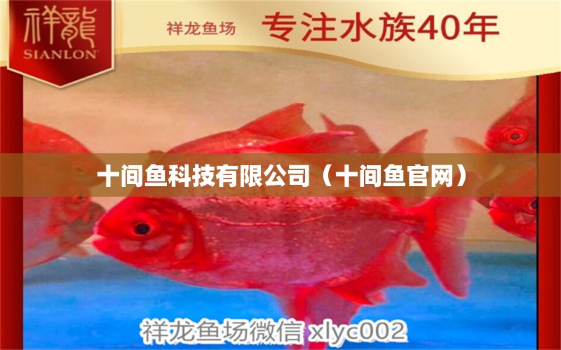 十間魚科技有限公司（十間魚官網(wǎng)） 廣州龍魚批發(fā)市場(chǎng)