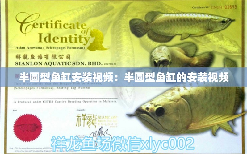 半圓型魚(yú)缸安裝視頻：半圓型魚(yú)缸的安裝視頻 魚(yú)缸百科 第2張