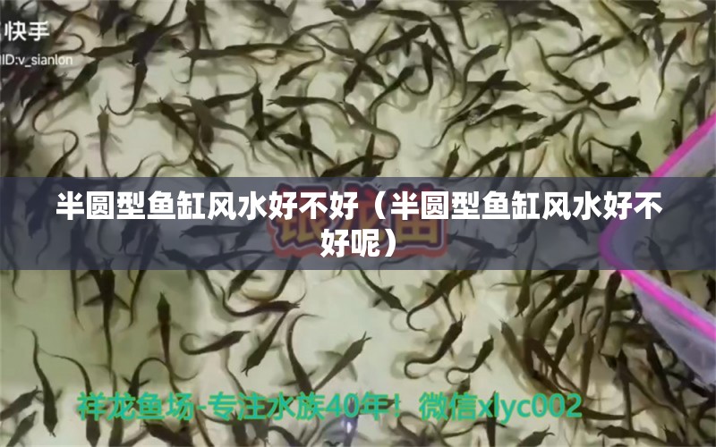 半圓型魚缸風(fēng)水好不好（半圓型魚缸風(fēng)水好不好呢） 魚缸風(fēng)水