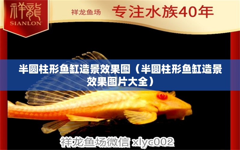 半圓柱形魚缸造景效果圖（半圓柱形魚缸造景效果圖片大全）