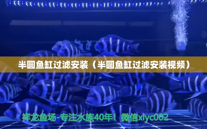 半圓魚缸過濾安裝（半圓魚缸過濾安裝視頻）