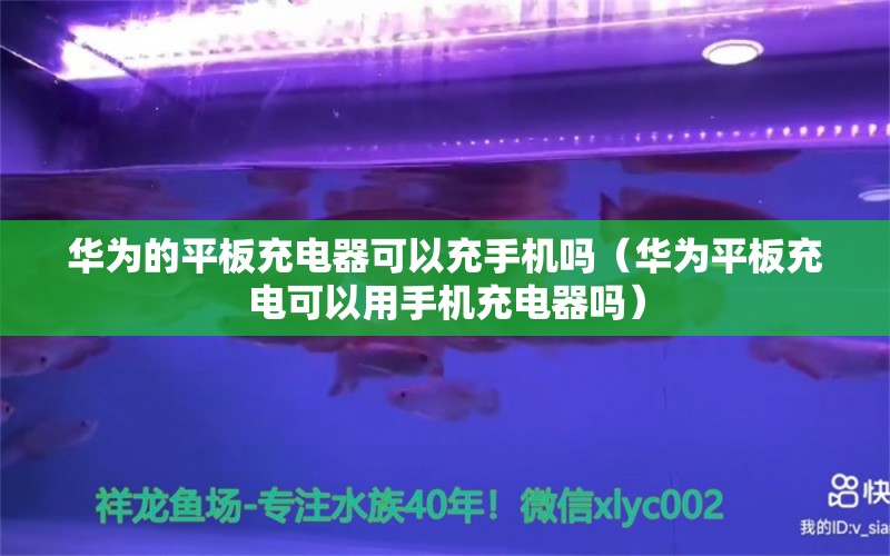 華為的平板充電器可以充手機(jī)嗎（華為平板充電可以用手機(jī)充電器嗎） 黃金鴨嘴魚 第1張