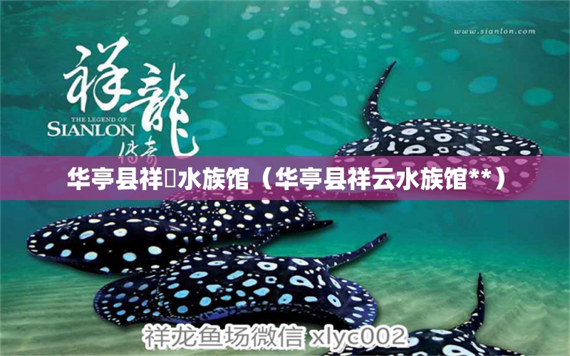 華亭縣祥雲(yún)水族館（華亭縣祥云水族館**） 全國水族館企業(yè)名錄