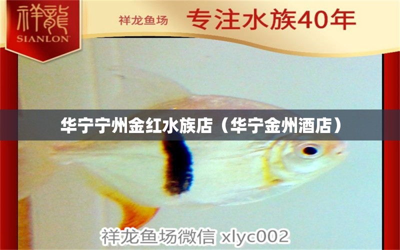 華寧寧州金紅水族店（華寧金州酒店） 全國(guó)水族館企業(yè)名錄