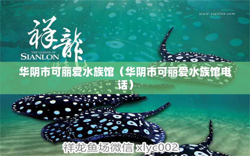 華陰市可麗愛水族館（華陰市可麗愛水族館電話）