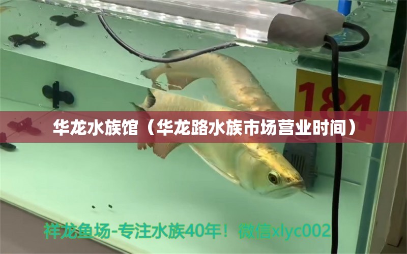 華龍水族館（華龍路水族市場營業(yè)時間） 全國水族館企業(yè)名錄