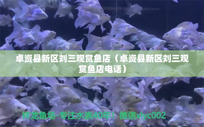 卓資縣新區(qū)劉三觀賞魚店（卓資縣新區(qū)劉三觀賞魚店電話）