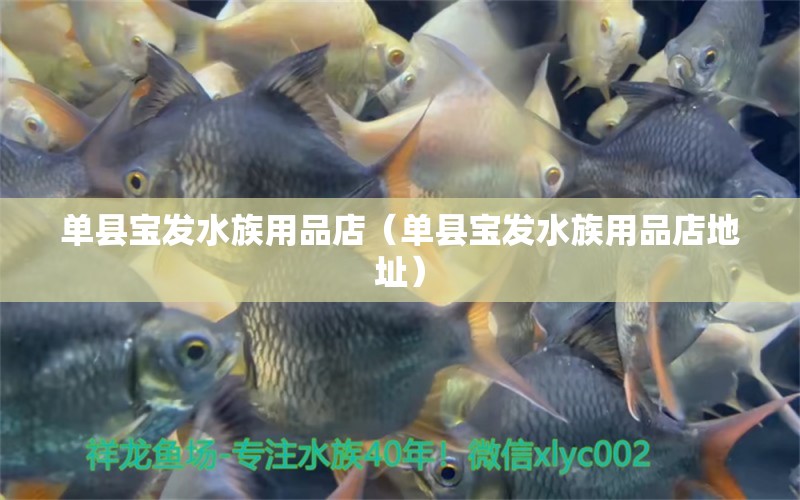 單縣寶發(fā)水族用品店（單縣寶發(fā)水族用品店地址） 水族用品