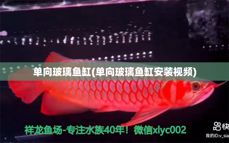 單向玻璃魚缸(單向玻璃魚缸安裝視頻)