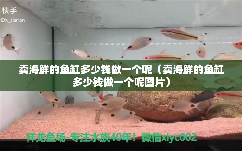 賣海鮮的魚缸多少錢做一個呢（賣海鮮的魚缸多少錢做一個呢圖片） 量子養(yǎng)魚技術(shù)