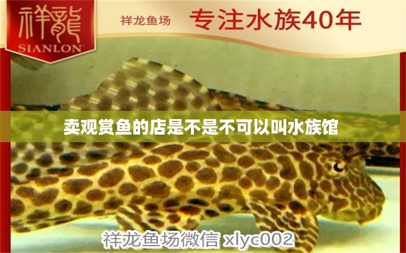 賣(mài)觀賞魚(yú)的店是不是不可以叫水族館 