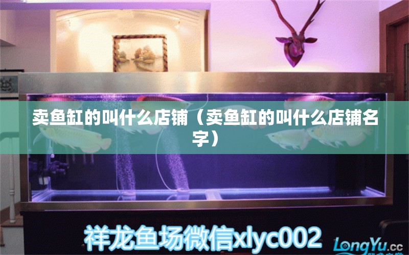 賣魚缸的叫什么店鋪（賣魚缸的叫什么店鋪名字） 祥龍水族醫(yī)院