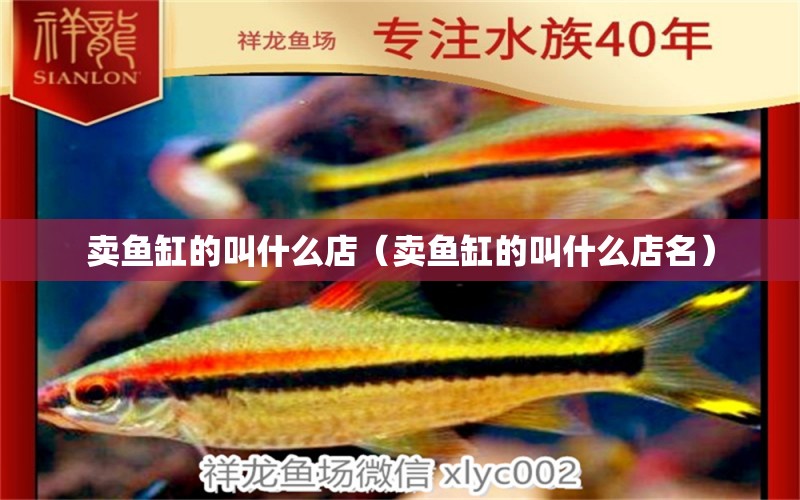 賣魚缸的叫什么店（賣魚缸的叫什么店名）