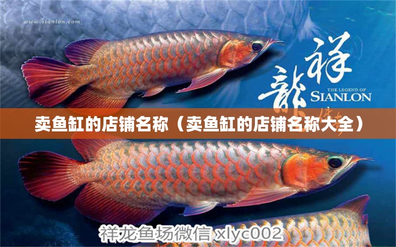 賣魚缸的店鋪名稱（賣魚缸的店鋪名稱大全）