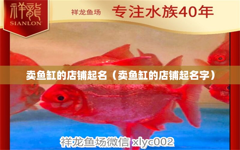 賣魚缸的店鋪起名（賣魚缸的店鋪起名字）