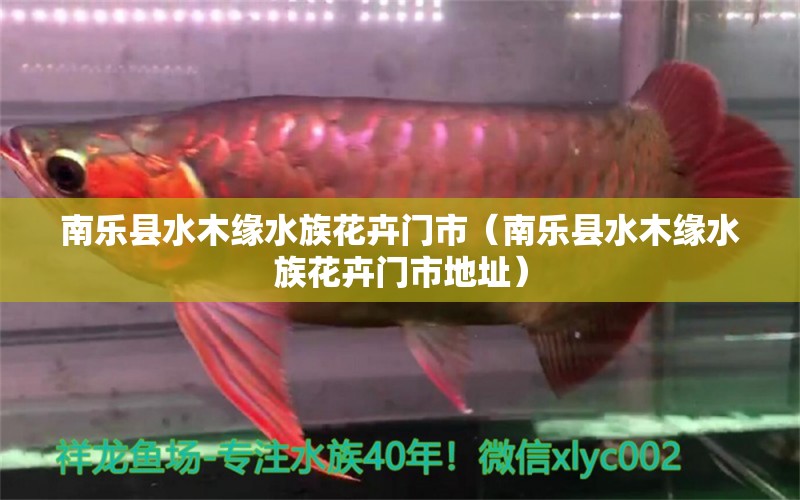 南樂縣水木緣水族花卉門市（南樂縣水木緣水族花卉門市地址）