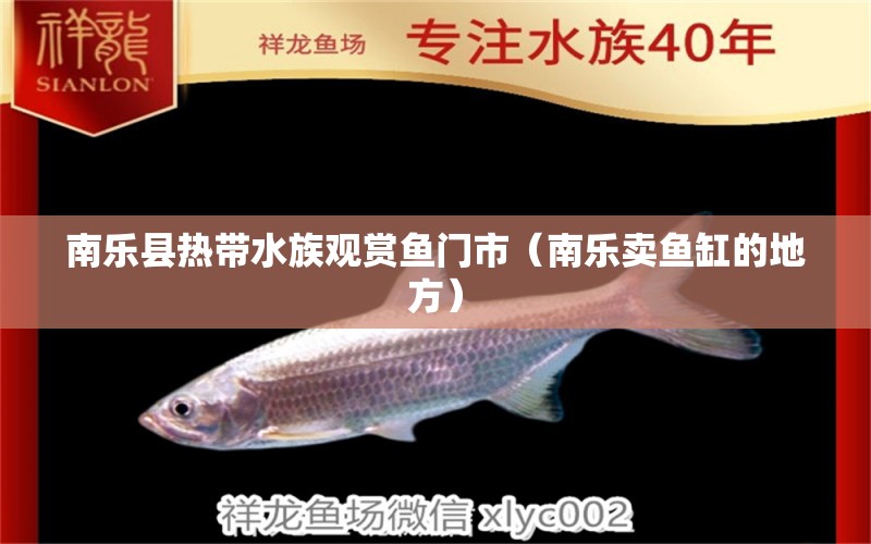 南樂(lè)縣熱帶水族觀賞魚(yú)門(mén)市（南樂(lè)賣(mài)魚(yú)缸的地方） 全國(guó)水族館企業(yè)名錄