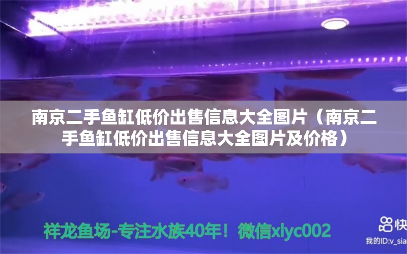 南京二手魚缸低價出售信息大全圖片（南京二手魚缸低價出售信息大全圖片及價格）