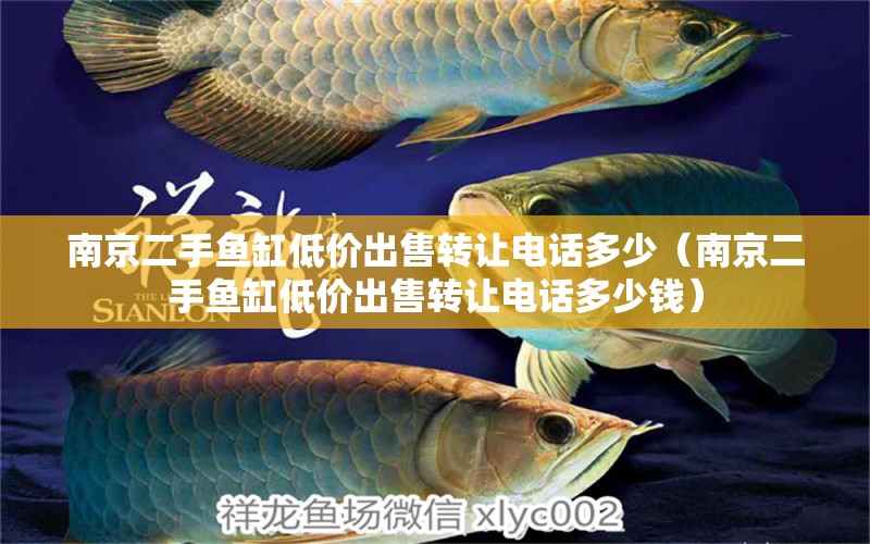 南京二手魚缸低價(jià)出售轉(zhuǎn)讓電話多少（南京二手魚缸低價(jià)出售轉(zhuǎn)讓電話多少錢）